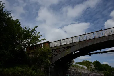 DSC_2761 (Large).JPG